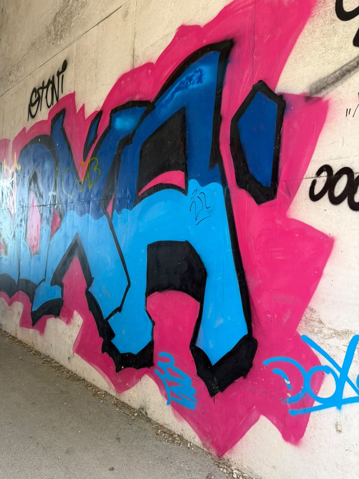 Graffiti in pink and blue on a concrete wall